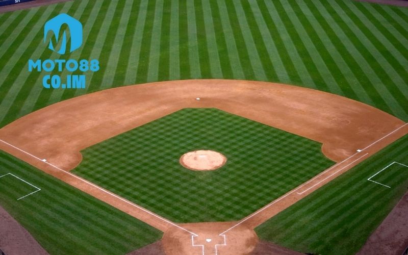 Khám phá thế giới cá cược bóng chày, tỷ lệ kèo hấp dẫn 3 Cá cược bóng chày