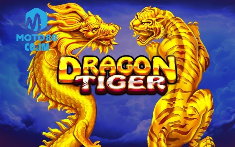 Cách chơi Rồng Hổ: Hướng dẫn chơi đơn giản, dễ hiểu, hiệu quả 3 cách chơi rồng hổ